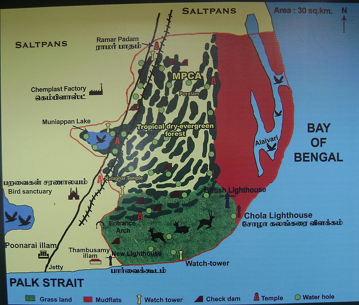 Vedaranyam: The Forest of the Vedas