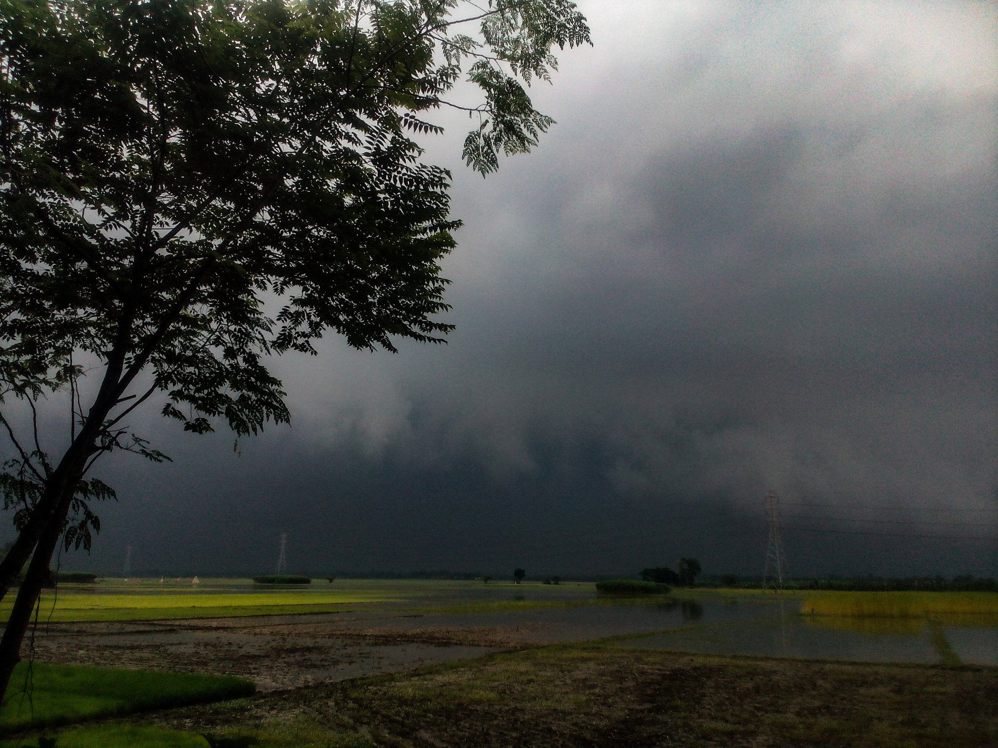 Things to Do in Vedaranyam During Rainy Season