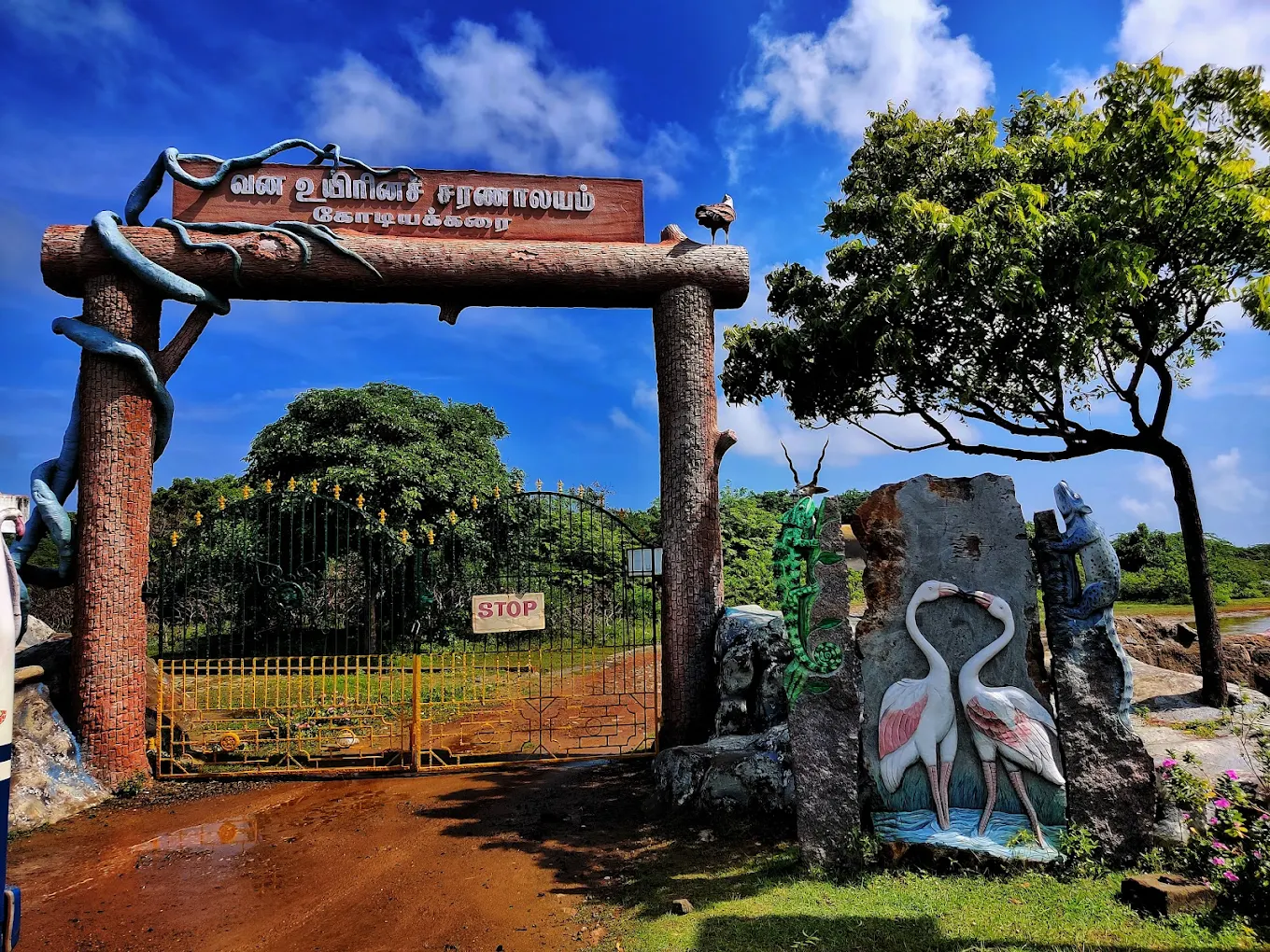 Point Calimere Wildlife and Bird Sanctuary