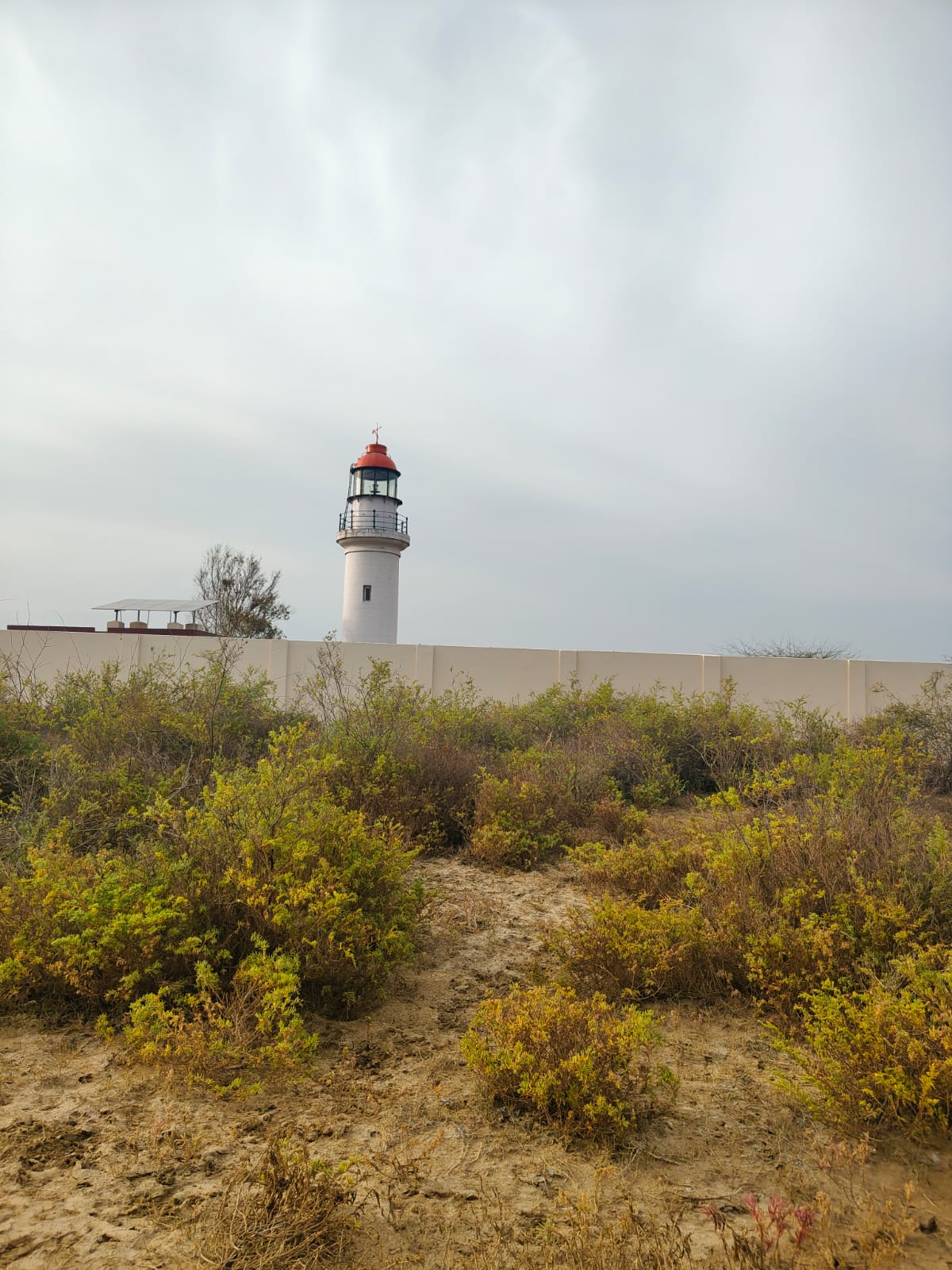 கோடியக்கரை British Lighthouse – வரலாறும் கடலோர அழகும்